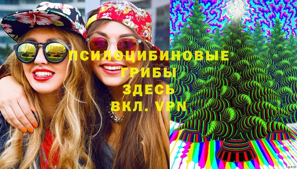 МДПВ Волосово