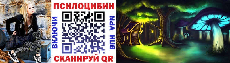 Купить  Сысерть  Псилоцибиновые грибы прущие грибы 