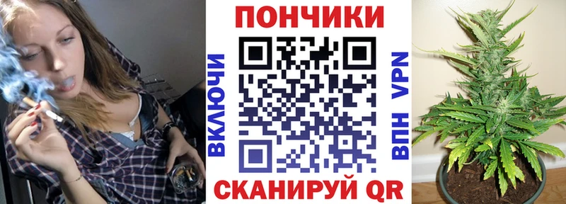 Купить  Сысерть  Канабис THC 21% 
